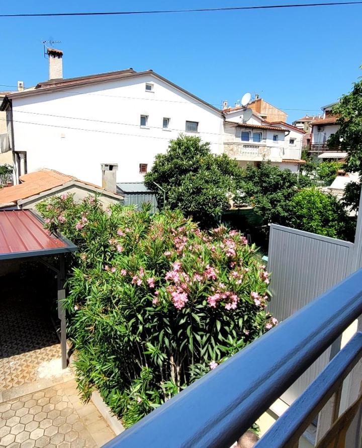 רוביני Apartmani Sojka מראה חיצוני תמונה